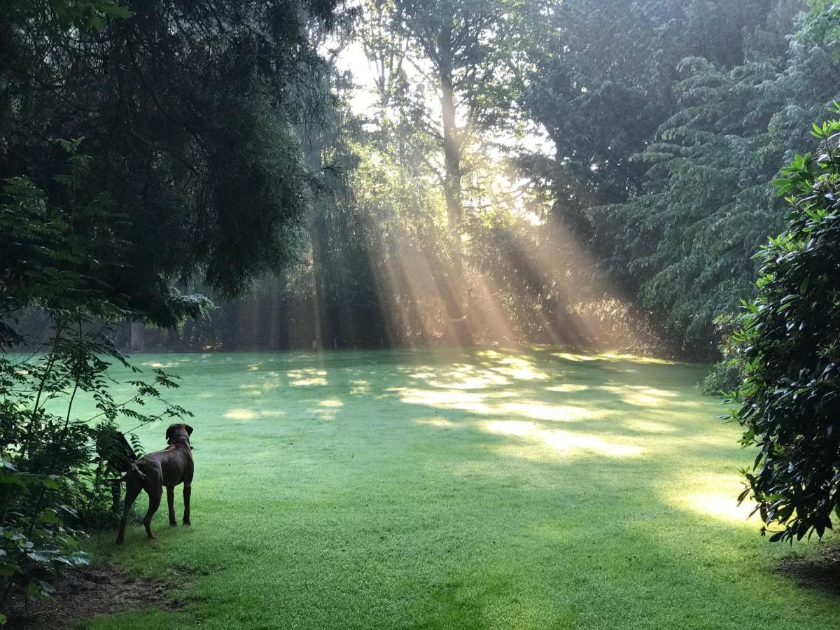 לארן Amsterdamgarden - Stunning Garden Villa With Pool Close To Amsterdam מראה חיצוני תמונה