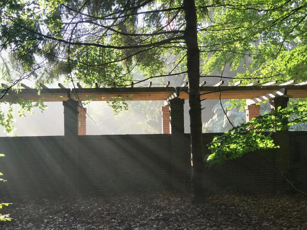 לארן Amsterdamgarden - Stunning Garden Villa With Pool Close To Amsterdam מראה חיצוני תמונה